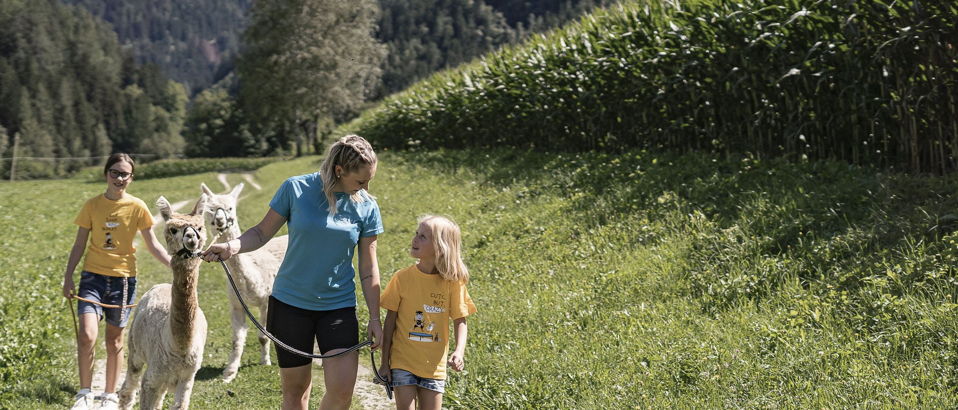 Die Quelle der Erfüllung: Ihr Hotel am Kronplatz Frau und zwei Kinder führen Alpakas auf einem Weg in den Bergen