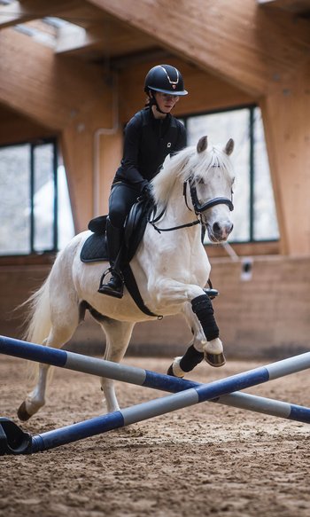 Your hotels in South Tyrol: the home of abundance Person riding white horse jumping over obstacle inside indoor arena