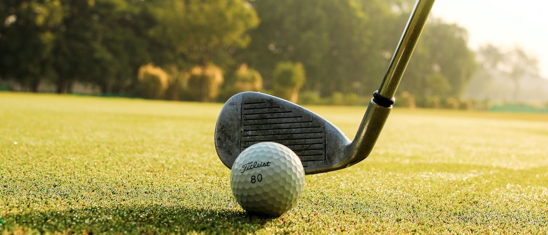 Wir sind Ihre Golfhotels in Südtirol. Golfball auf dem Rasen neben Schläger und Loch in der Nähe