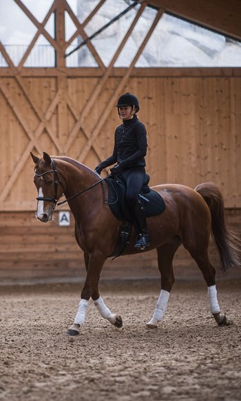 Ihre Hotels in Südtirol: die Heimat der Fülle Reiterin auf braunem Pferd in Reithalle mit Holzverkleidung