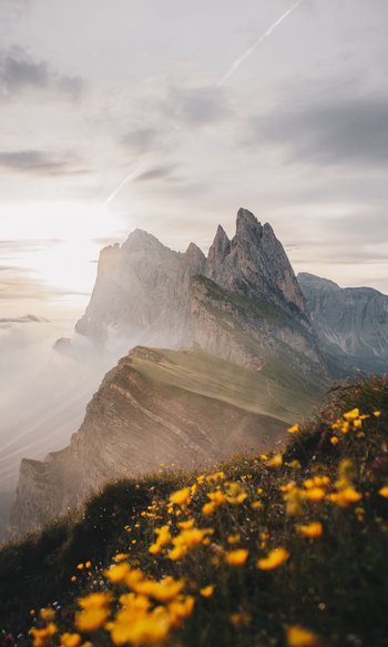 Ihre Hotels in Südtirol: die Heimat der Fülle Felsige Bergspitzen bei Sonnenuntergang mit gelben Blumen auf dem Vordergrund