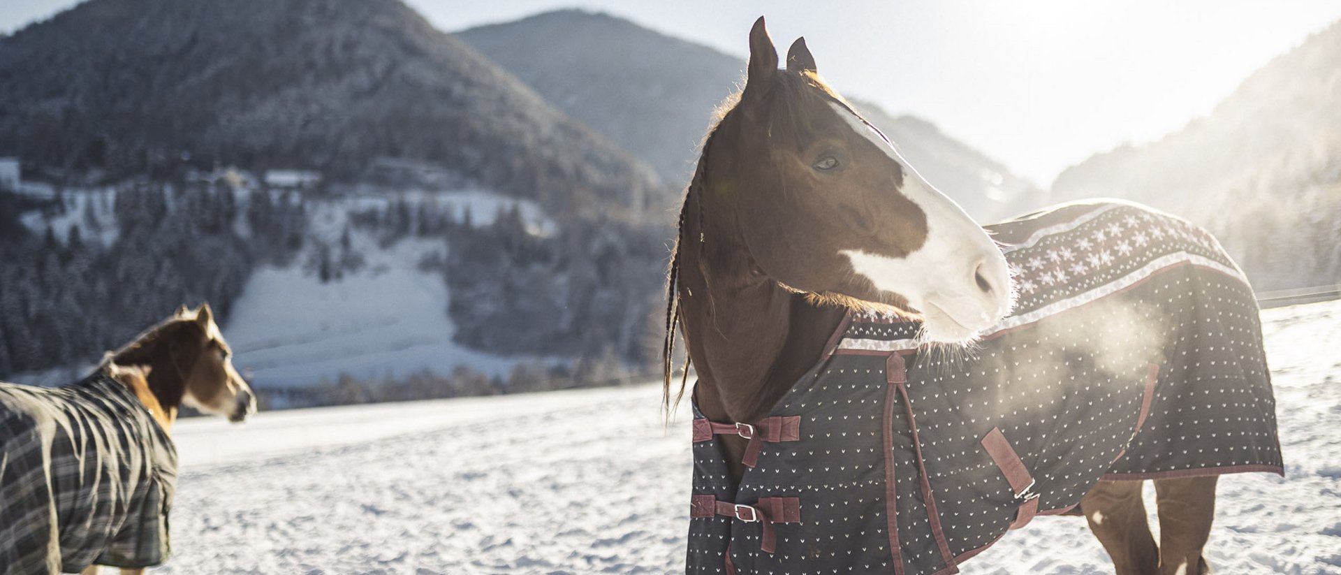 Hotel con cavalli in Alto Adige