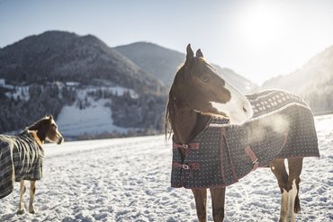 Schneeschuhwandern in Südtirol: Ihr Hotel im Pustertal